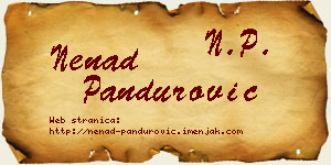 Nenad Pandurović vizit kartica